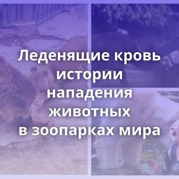 Леденящие кровь истории нападения животных в зоопарках мира