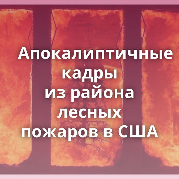 Апокалиптичные кадры из района лесных пожаров в США