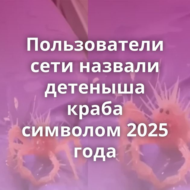 Пользователи сети назвали детеныша краба символом 2025 года