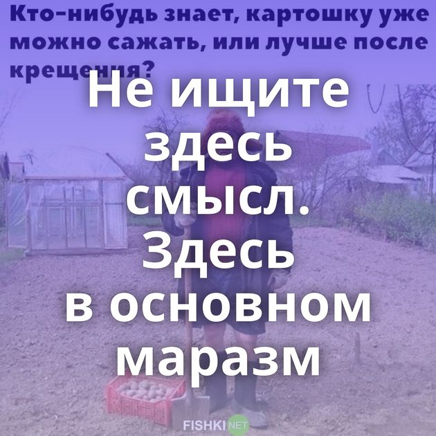 Не ищите здесь смысл. Здесь в основном маразм