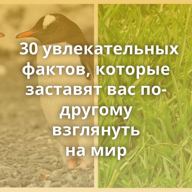 30 увлекательных фактов, которые заставят вас по-другому взглянуть на мир