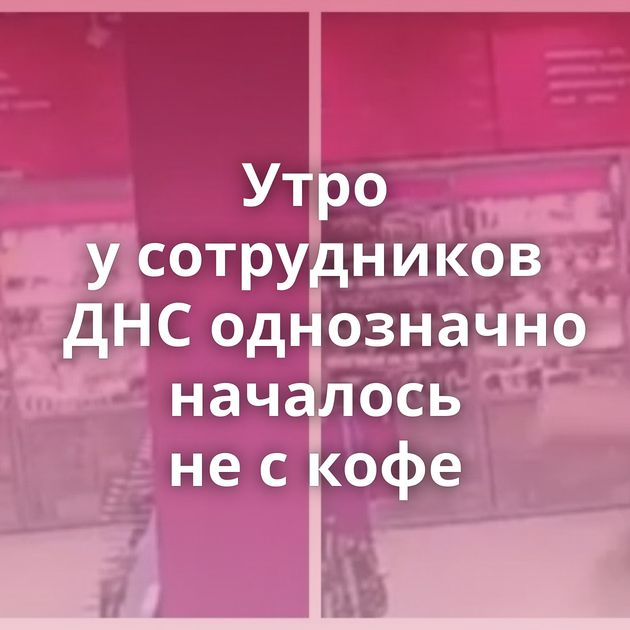 Утро у сотрудников ДНС однозначно началось не с кофе