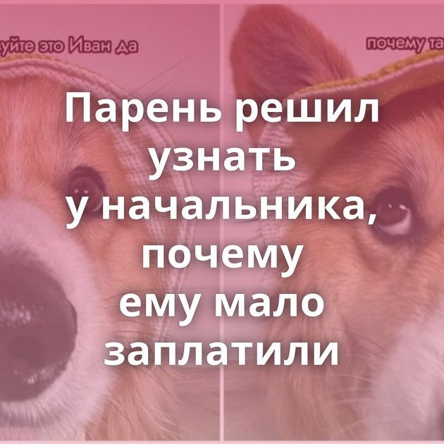 Парень решил узнать у начальника, почему ему мало заплатили