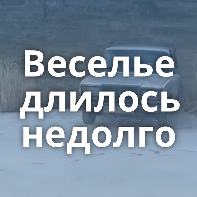 Веселье длилось недолго