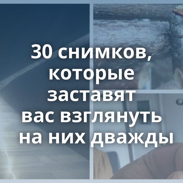 30 снимков, которые заставят вас взглянуть на них дважды