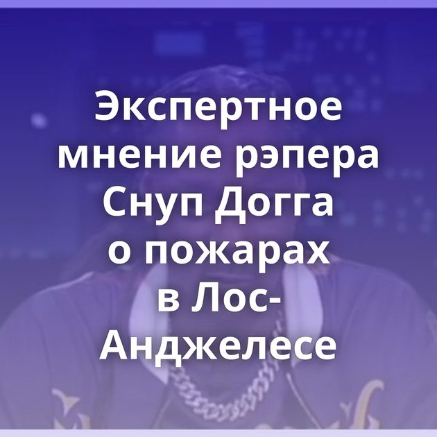 Экспертное мнение рэпера Снуп Догга о пожарах в Лос-Анджелесе