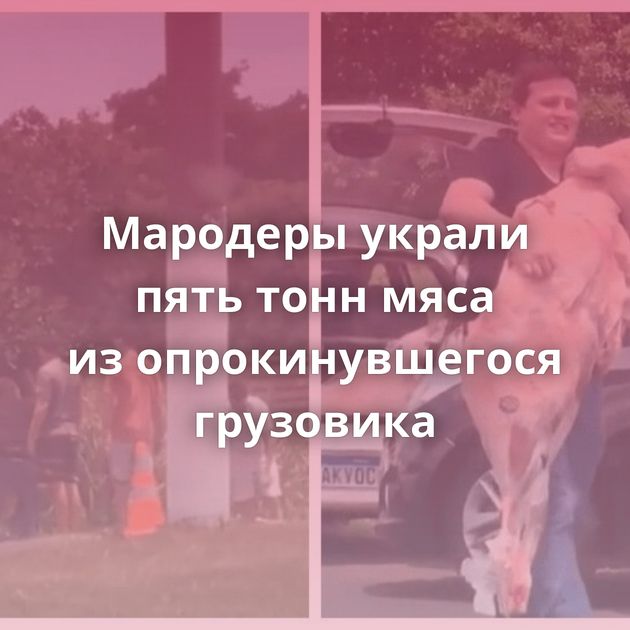 Мародеры украли пять тонн мяса из опрокинувшегося грузовика