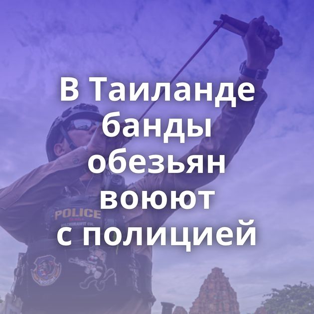 В Таиланде банды обезьян воюют с полицией