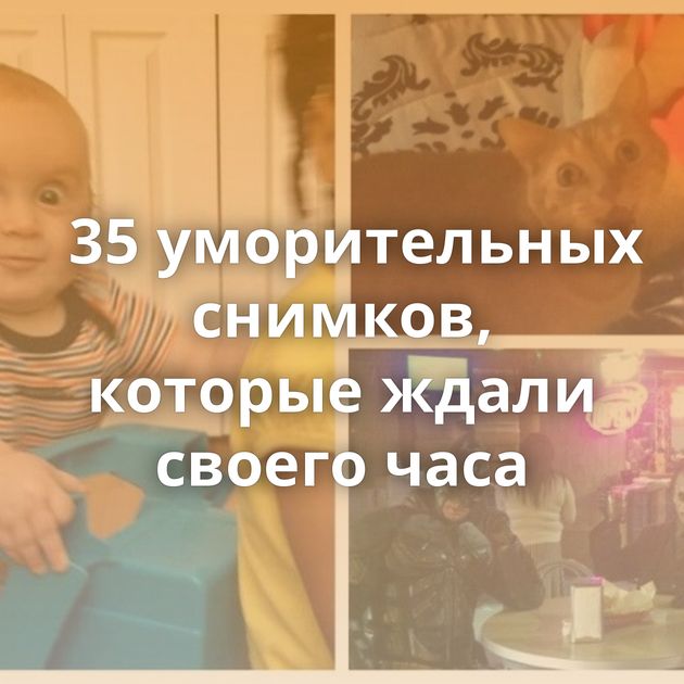 35 уморительных снимков, которые ждали своего часа