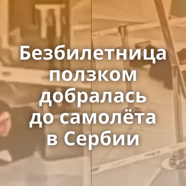 Безбилетница ползком добралась до самолёта в Сербии