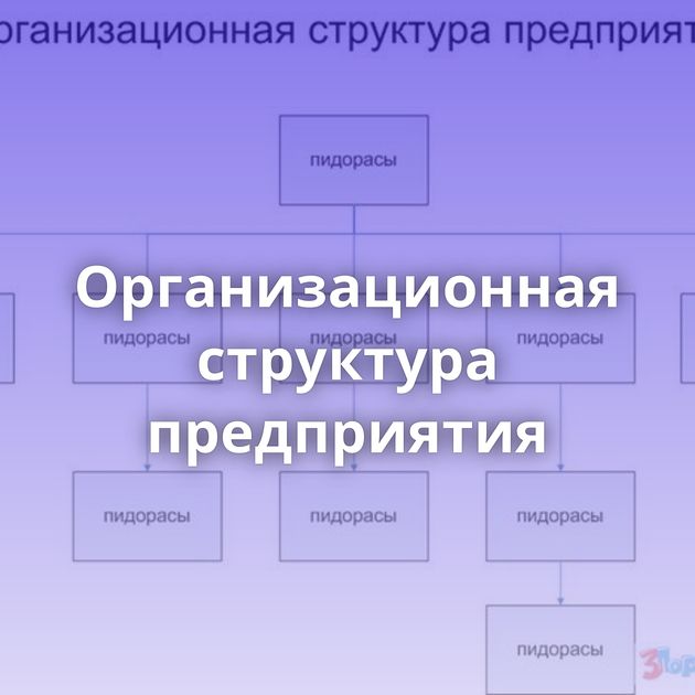 Организационная структура предприятия