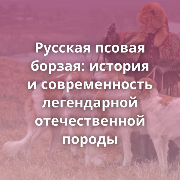 Русская псовая борзая: история и современность легендарной отечественной породы