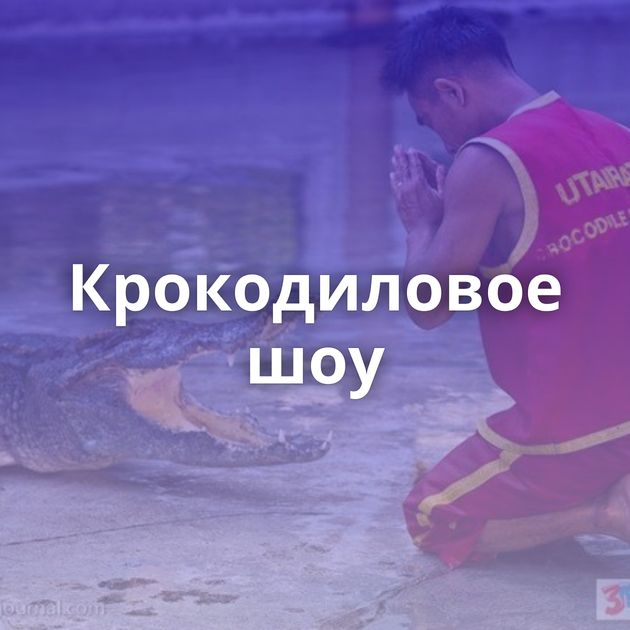 Крокодиловое шоу