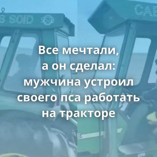 Все мечтали, а он сделал: мужчина устроил своего пса работать на тракторе