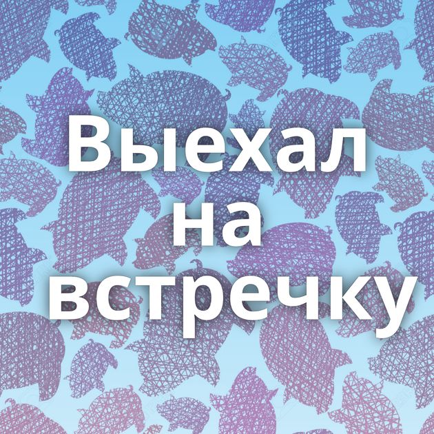 Выехал на встречку