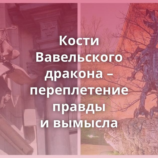 Кости Вавельского дракона – переплетение правды и вымысла