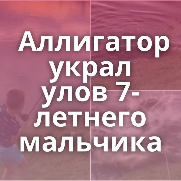 Аллигатор украл улов 7-летнего мальчика