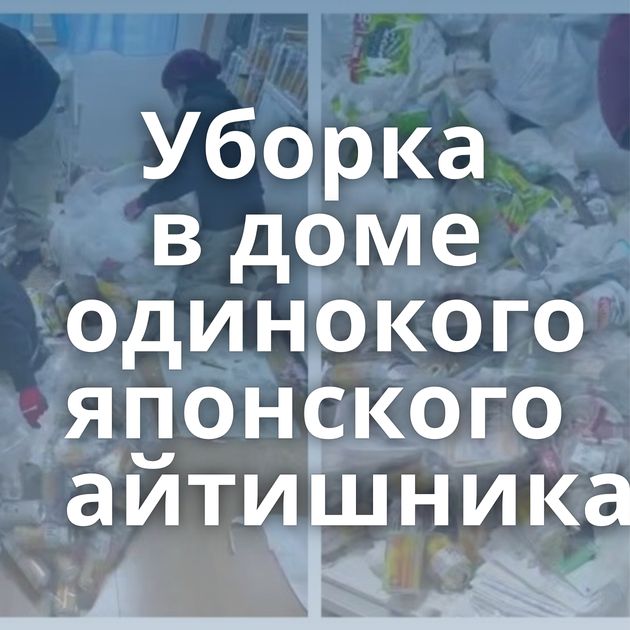 Уборка в доме одинокого японского айтишника