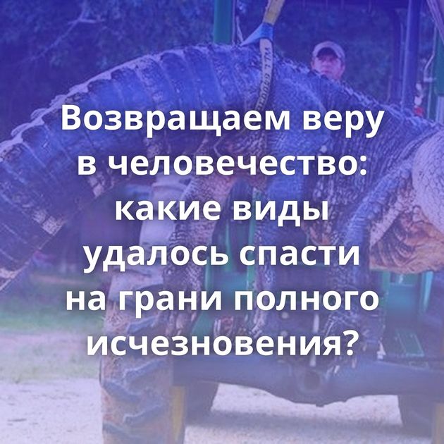 Возвращаем веру в человечество: какие виды удалось спасти на грани полного исчезновения?