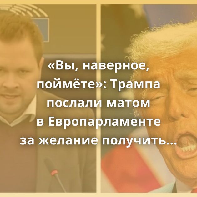 «Вы, наверное, поймёте»: Трампа послали матом в Европарламенте за желание получить Гренландию