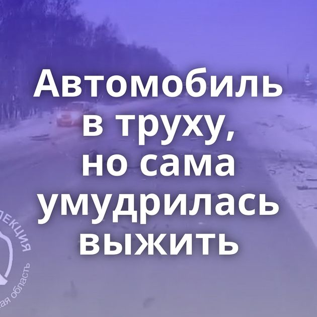 Автомобиль в труху, но сама умудрилась выжить