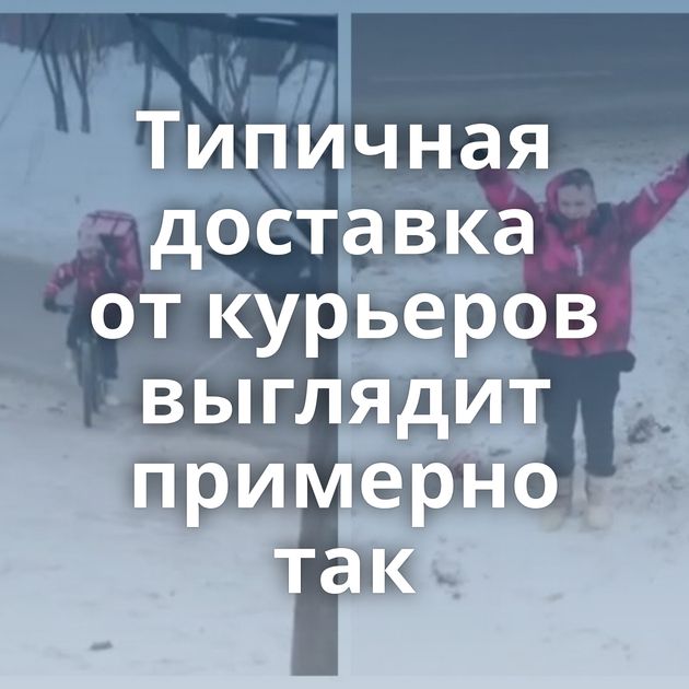 Типичная доставка от курьеров выглядит примерно так