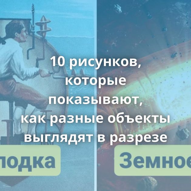 10 рисунков, которые показывают, как разные объекты выглядят в разрезе