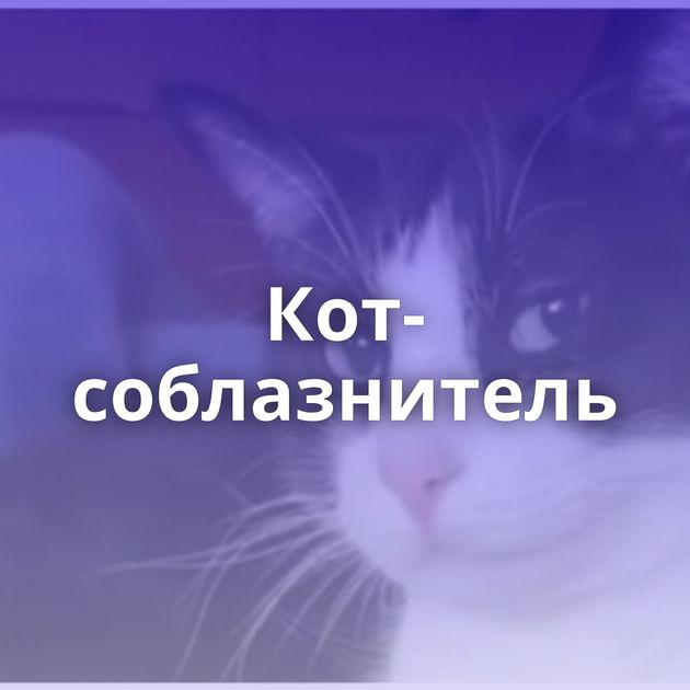 Кот-соблазнитель