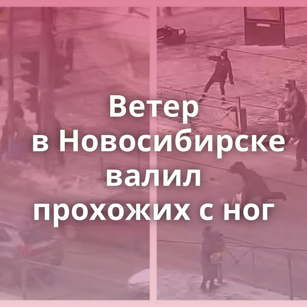 Ветер в Новосибирске валил прохожих с ног