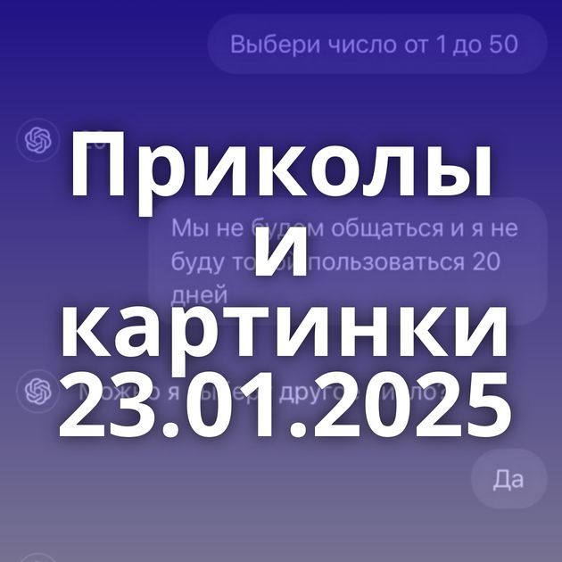 Приколы и картинки 23.01.2025