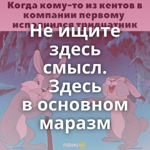 Не ищите здесь смысл. Здесь в основном маразм