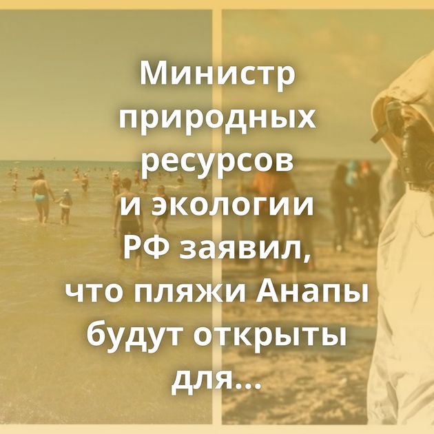 Министр природных ресурсов и экологии РФ заявил, что пляжи Анапы будут открыты для туристов лишь в 2026 году