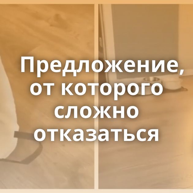 Предложение, от которого сложно отказаться