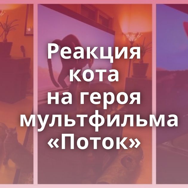 Реакция кота на героя мультфильма «Поток»