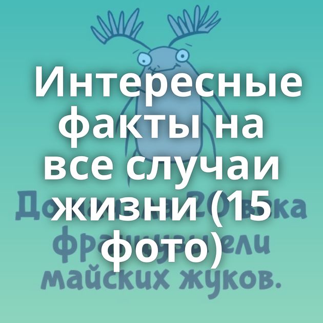 Интересные факты на все случаи жизни (15 фото)