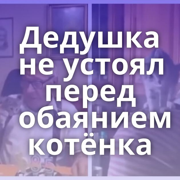 Дедушка не устоял перед обаянием котёнка