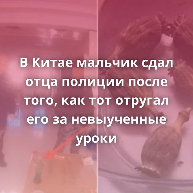 В Китае мальчик сдал отца полиции после того, как тот отругал его за невыученные уроки