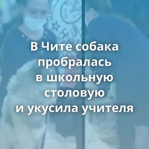 В Чите собака пробралась в школьную столовую и укусила учителя