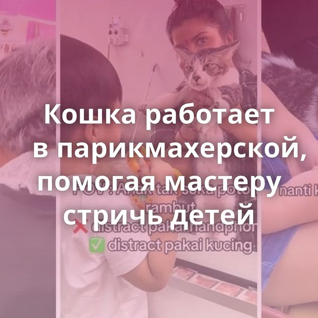 Кошка работает в парикмахерской, помогая мастеру стричь детей