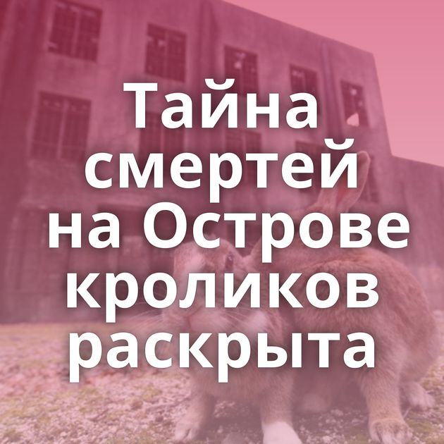 Тайна смертей на Острове кроликов раскрыта