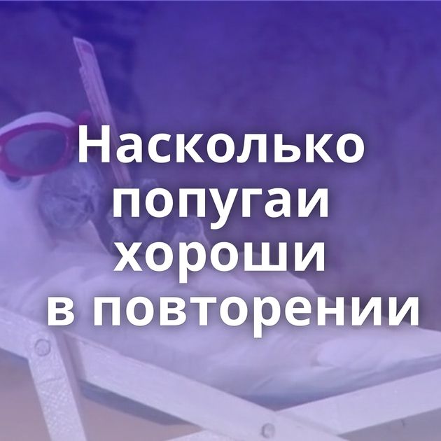 Насколько попугаи хороши в повторении