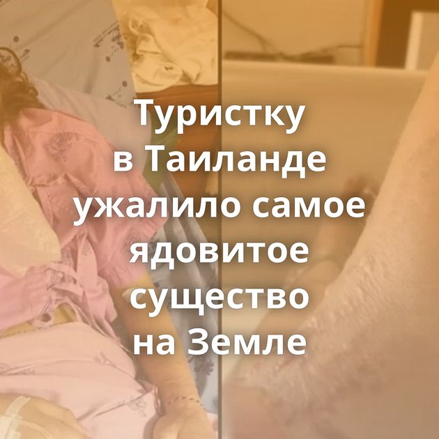 Туристку в Таиланде ужалило самое ядовитое существо на Земле