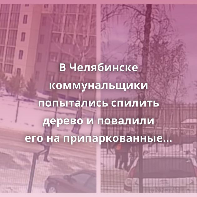 В Челябинске коммунальщики попытались спилить дерево и повалили его на припаркованные автомобили