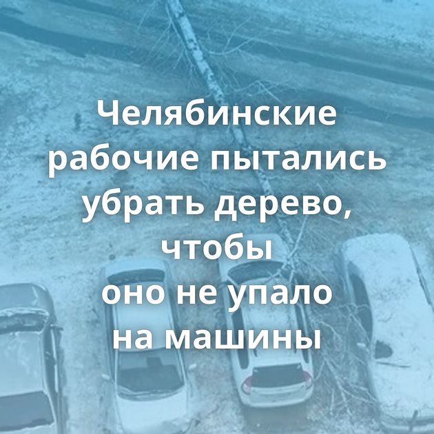 Челябинские рабочие пытались убрать дерево, чтобы оно не упало на машины