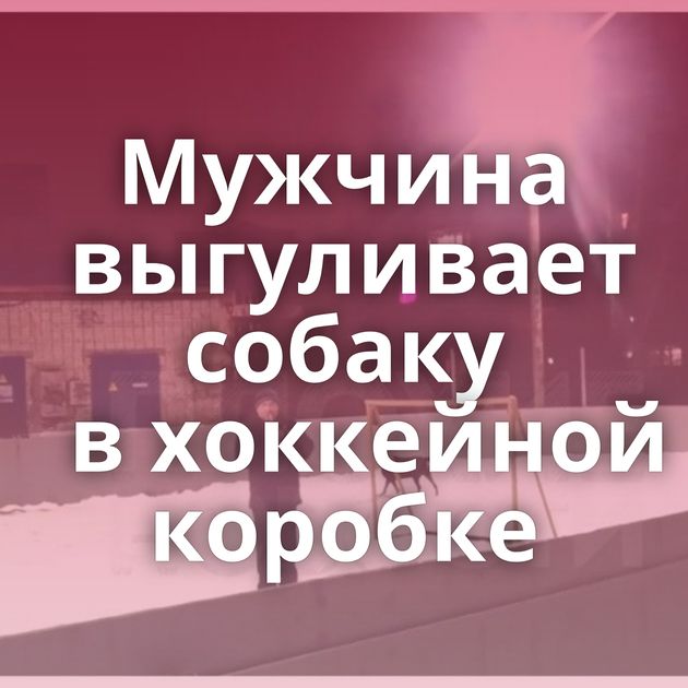 Мужчина выгуливает собаку в хоккейной коробке