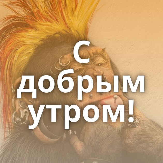 С добрым утром!