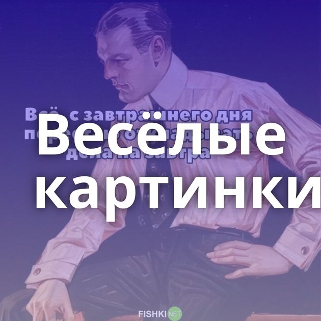 Весёлые картинки