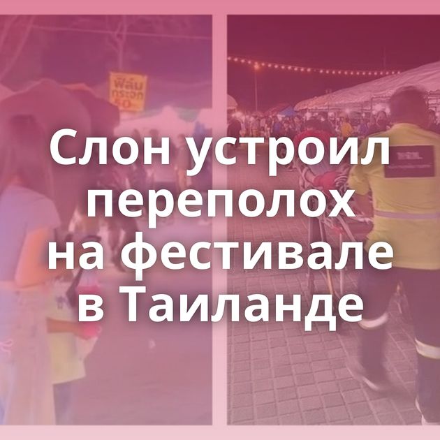 Слон устроил переполох на фестивале в Таиланде