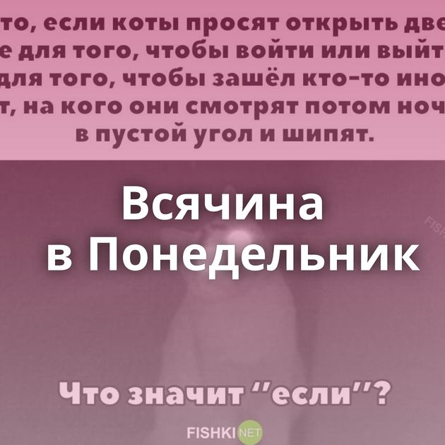 Всячина в Понедельник