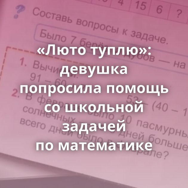 «Люто туплю»: девушка попросила помощь со школьной задачей по математике